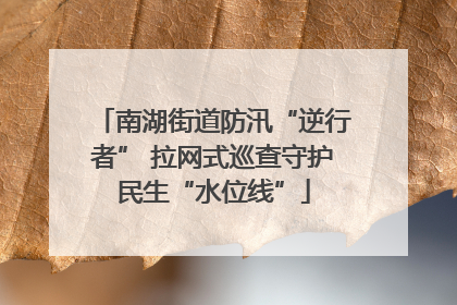 南湖街道防汛“逆行者” 拉网式巡查守护民生“水位线”