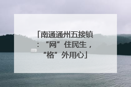 南通通州五接镇：“网”住民生，“格”外用心