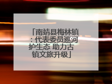 南靖县梅林镇：代表委员巡河护生态 助力古镇文旅升级