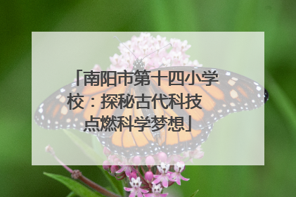 南阳市第十四小学校：探秘古代科技 点燃科学梦想