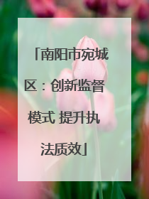 南阳市宛城区：创新监督模式 提升执法质效