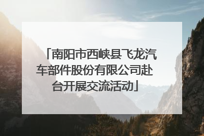 南阳市西峡县飞龙汽车部件股份有限公司赴台开展交流活动
