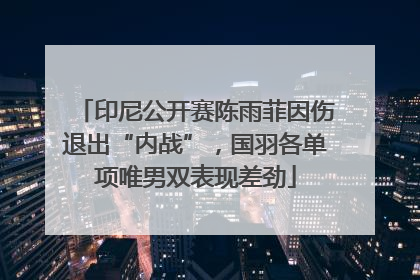 印尼公开赛陈雨菲因伤退出“内战”，国羽各单项唯男双表现差劲