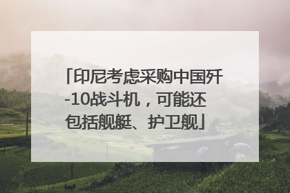 印尼考虑采购中国歼-10战斗机，可能还包括舰艇、护卫舰