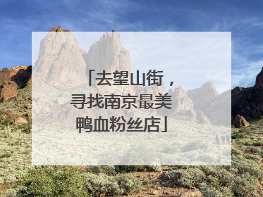 去望山街，寻找南京最美鸭血粉丝店