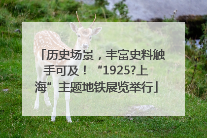 历史场景，丰富史料触手可及！“1925?上海”主题地铁展览举行