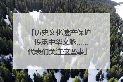 历史文化遗产保护、传承中华文脉……代表们关注这些事