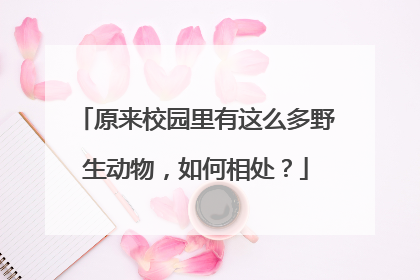 原来校园里有这么多野生动物，如何相处？