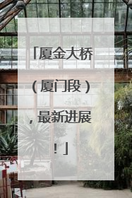 厦金大桥（厦门段），最新进展！