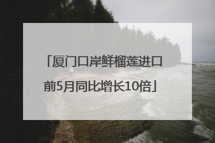 厦门口岸鲜榴莲进口 前5月同比增长10倍
