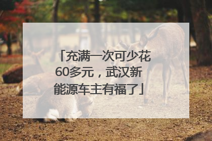 充满一次可少花60多元，武汉新能源车主有福了