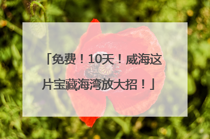 免费！10天！威海这片宝藏海湾放大招！