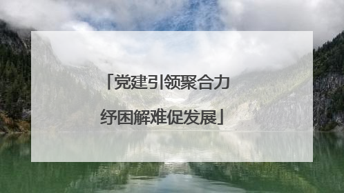 党建引领聚合力 纾困解难促发展