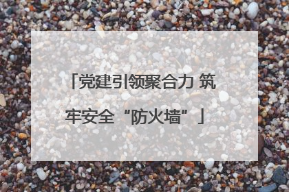 党建引领聚合力 筑牢安全“防火墙”