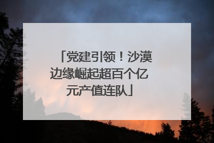 党建引领！沙漠边缘崛起超百个亿元产值连队