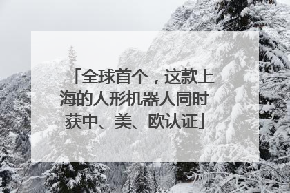 全球首个，这款上海的人形机器人同时获中、美、欧认证