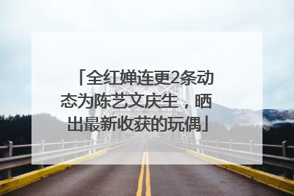 全红婵连更2条动态为陈艺文庆生，晒出最新收获的玩偶