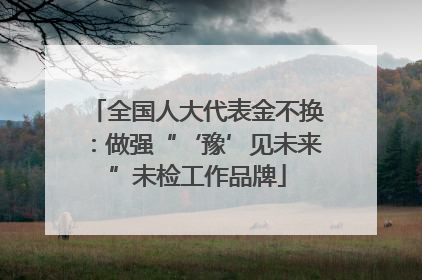 全国人大代表金不换：做强“‘豫’见未来”未检工作品牌