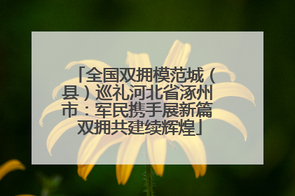 全国双拥模范城（县）巡礼河北省涿州市：军民携手展新篇 双拥共建续辉煌