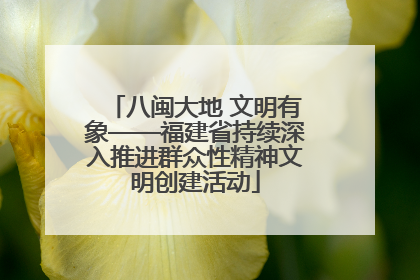 八闽大地 文明有象——福建省持续深入推进群众性精神文明创建活动