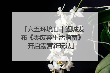 六五环境日｜鲤城发布《零废弃生活指南》开启露营新玩法