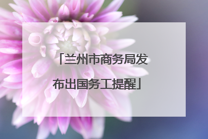 兰州市商务局发布出国务工提醒