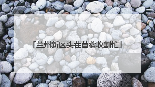 兰州新区头茬苜蓿收割忙