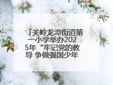 关岭龙潭街道第一小学举办2025年“牢记党的教导 争做强国少年”“六一”文艺汇演活动