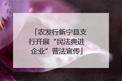 农发行新宁县支行开展“民法典进企业”普法宣传