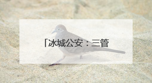 冰城公安：三管齐下让夜市“烟火气”有味更有序