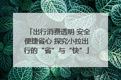 出行消费透明 安全便捷省心 探究小拉出行的“省”与“快”