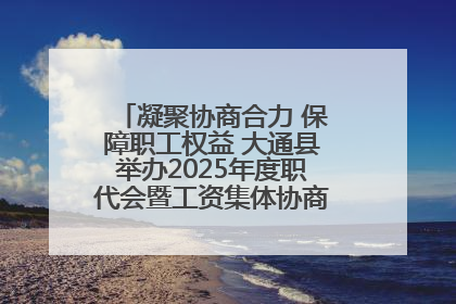凝聚协商合力 保障职工权益 大通县举办2025年度职代会暨工资集体协商现场观摩交流活动