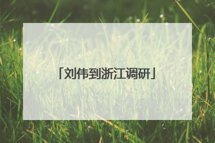 刘伟到浙江调研