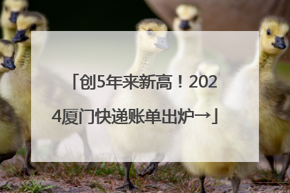创5年来新高！2024厦门快递账单出炉→