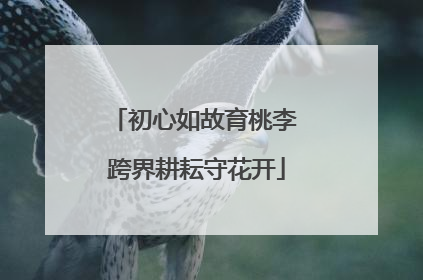 初心如故育桃李 跨界耕耘守花开