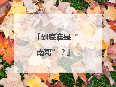 到底谁是“南哥”？