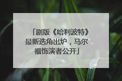 剧版《哈利波特》最新选角出炉，马尔福饰演者公开