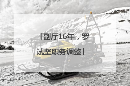 副厅16年，罗试坚职务调整