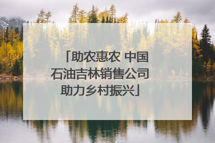 助农惠农 中国石油吉林销售公司助力乡村振兴