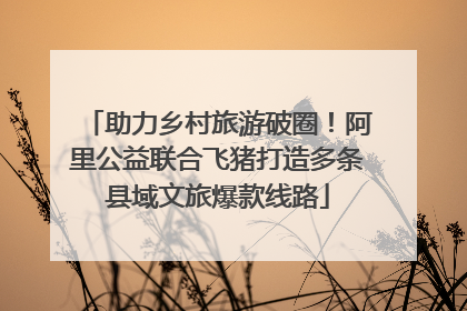 助力乡村旅游破圈！阿里公益联合飞猪打造多条县域文旅爆款线路