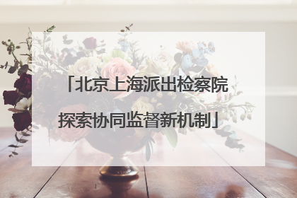 北京上海派出检察院探索协同监督新机制