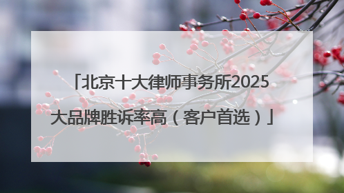 北京十大律师事务所2025大品牌胜诉率高（客户首选）