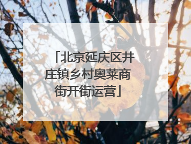 北京延庆区井庄镇乡村奥莱商街开街运营