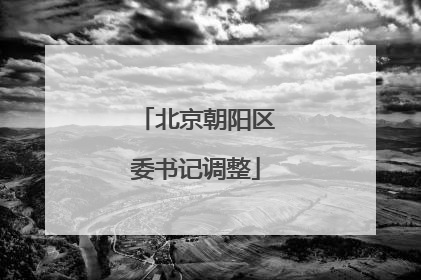 北京朝阳区委书记调整