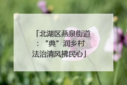北湖区燕泉街道：“典”润乡村 法治清风拂民心