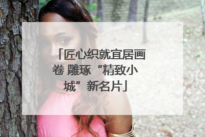 匠心织就宜居画卷 雕琢“精致小城”新名片