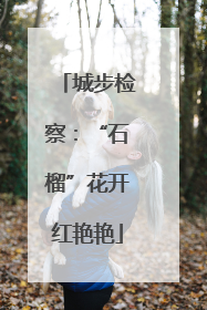 城步检察：“石榴”花开红艳艳