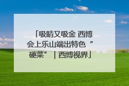 吸睛又吸金 西博会上乐山端出特色“硬菜”｜西博视界