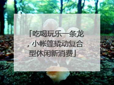 吃喝玩乐一条龙，小帐篷撬动复合型休闲新消费