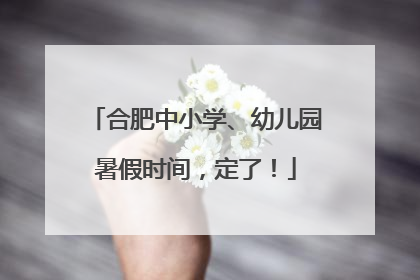 合肥中小学、幼儿园暑假时间，定了！